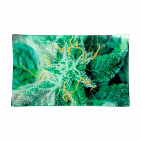 GLASS TRAY LARGE - AK-47