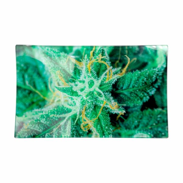 GLASS TRAY LARGE - AK-47