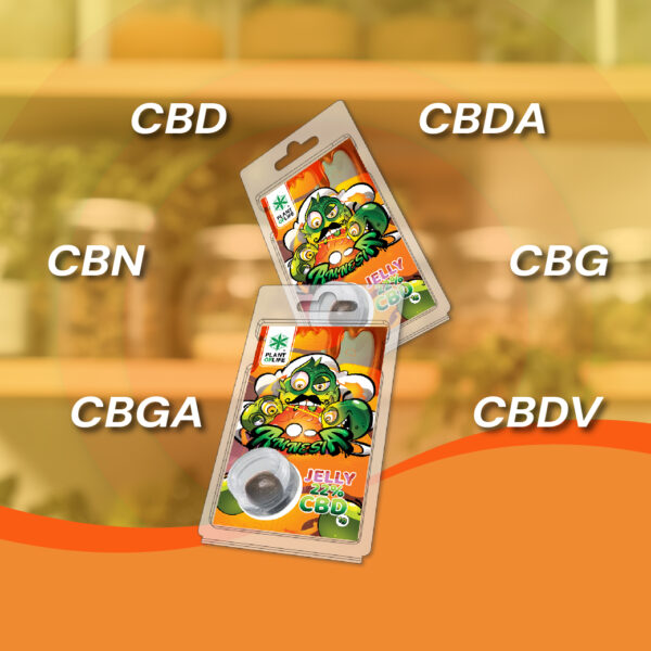CBD JELLY 22% AMNESIA 1G - Afbeelding 3