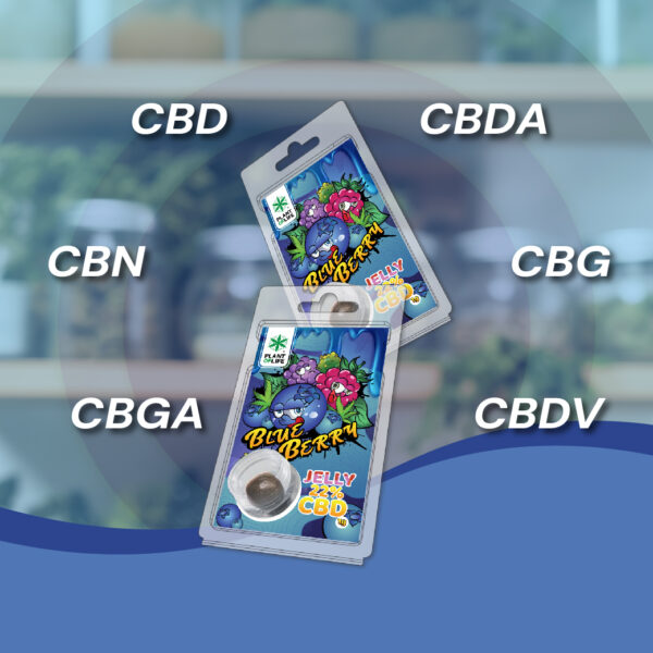 CBD JELLY 22% BLUEBERRY 1G - Afbeelding 3