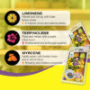 CBD JELLY 22% LEMON HAZE 1G - Afbeelding 2
