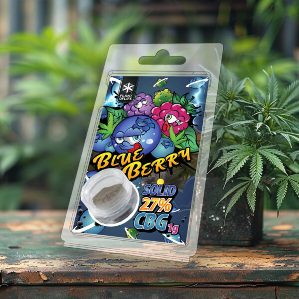 CBG SOLID 27% Blueberry 1G - Afbeelding 4