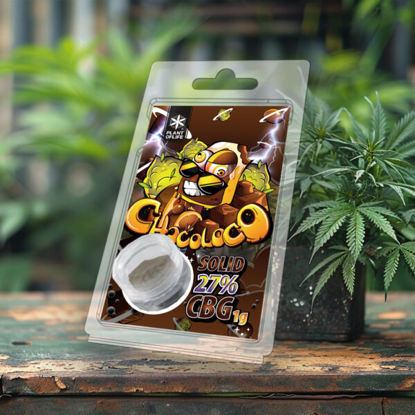 CBG SOLID 27% Chocoloco 1G - Afbeelding 4