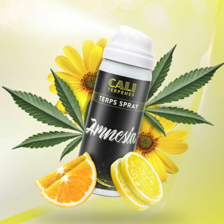 AMNESIA TERPS SPRAY 5ML