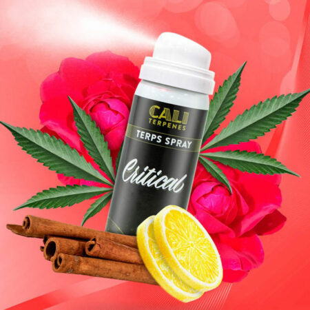 CRITICAL TERPS SPRAY 5ML