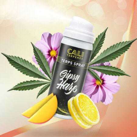 GIPSY HAZE TERPS SPRAY 5ML