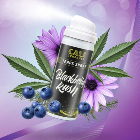 BLACKBERRY KUSH TERPS SPRAY XX-ML