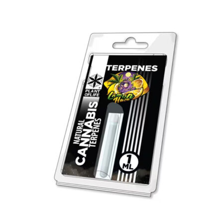 TERPENE - LEMON HAZE 1 ML PLANT OF LIFE